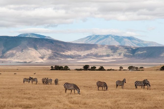 6 Days Budget Tanzania Camping Safari - Camping: basic, practical, and close to the bush