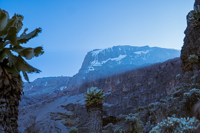 6 Days Climb Private Tour in Mount Kilimanjaro - Day 3: Lava Tower gives the climb its key altitude test