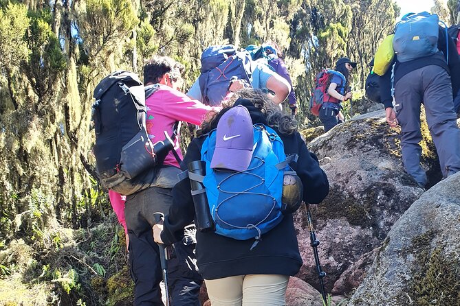 6 Days Climbing Mount Kilimanjaro Machame Route - Day 5: Uhuru Peak and the long descent to Mweka