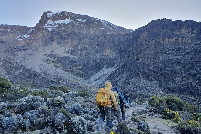 6 Days Climbing Mount Kilimanjaro Machame Route - Day 1: Moshi to Machame Camp through the rainforest