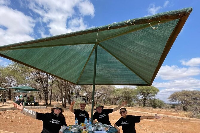 6 Days Essence of Tanzania Wildlife Safari - What the $2,725 price buys you