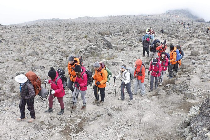 6 Days: Hiking Kilimanjaro via Machame Route - Day 4: Barranco Wall to Barafu Camp
