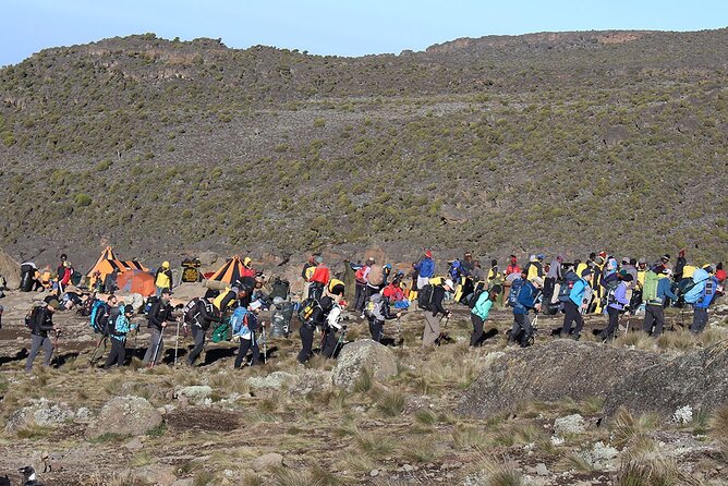 6 Days: Hiking Kilimanjaro via Machame Route - Day 6: Rainforest descent and Mweka Gate