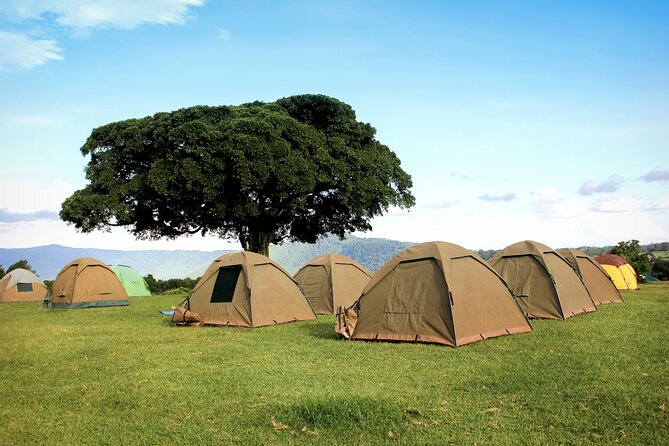 6 Days in the Wild – A Budget Safari Across Tanzania’s Icons - Key points to know before booking