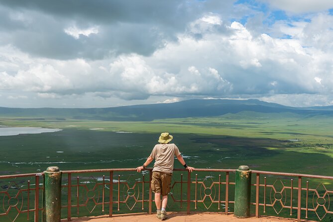 6 Days in the Wild – A Budget Safari Across Tanzania’s Icons - Day 1: Elephants and baobabs in Tarangire