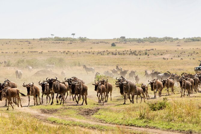 6 Days in the Wild – A Budget Safari Across Tanzania’s Icons - Day 6: Materuni village and Chemka’s warm water
