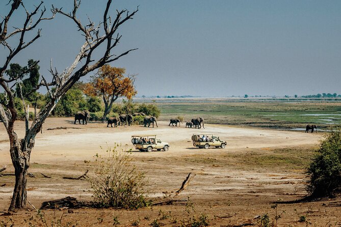 6 Days in the Wild – A Budget Safari Across Tanzania’s Icons - Meals, camping, and what the $1,300 covers