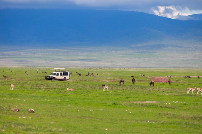 6 Days in the Wild – A Budget Safari Across Tanzania’s Icons - Who will enjoy this safari most?
