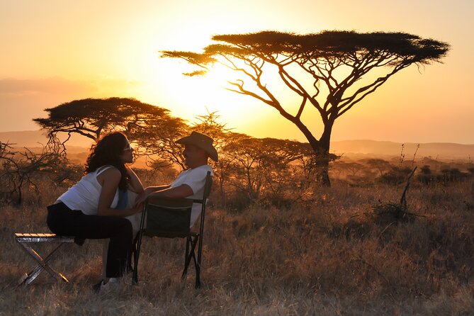 6 Days in the Wild – A Budget Safari Across Tanzania’s Icons - Days 2 and 3: Two ways to experience the Serengeti