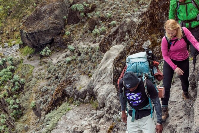 6 Days Kilimanjaro climb - Marangu route - Food, transport, and crew support