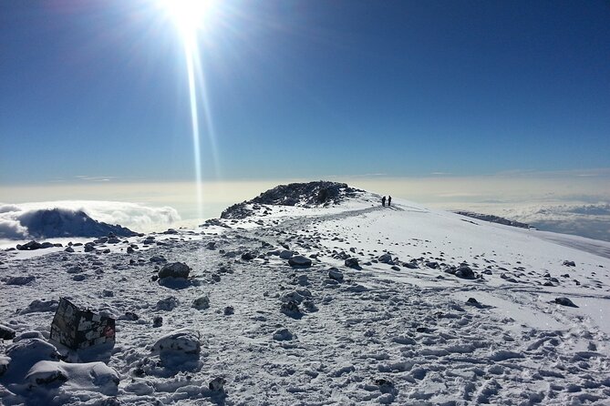 6 Days Kilimanjaro climbing | Hiking Tour via the Rongai Route - Day two: Moorland, heather, and a cold Kikelelwa night