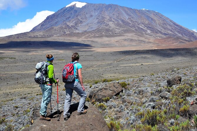6 Days Kilimanjaro Climbing Machame route - Day 4: Barranco Wall, Karanga Valley, and Barafu Camp