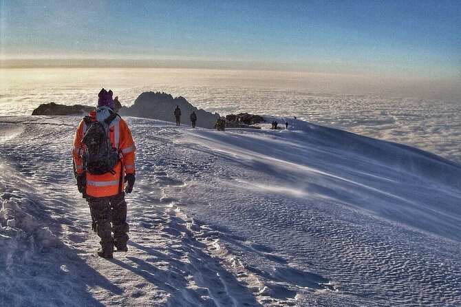 6 Days Kilimanjaro Climbing Machame route - Day 6: Cloud forest and the return to Mweka Gate
