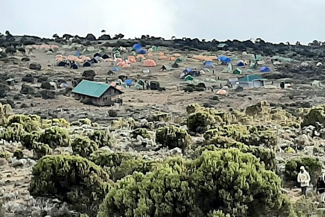 6 days Kilimanjaro Climbing Machame Route in Tanzania - Day one: Machame Gate to Machame Camp