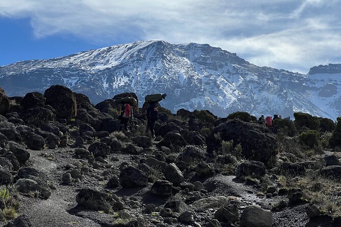 6 Days Kilimanjaro Climbing Marangu Route - Day 1: Moshi to Mandara Huts through rainforest