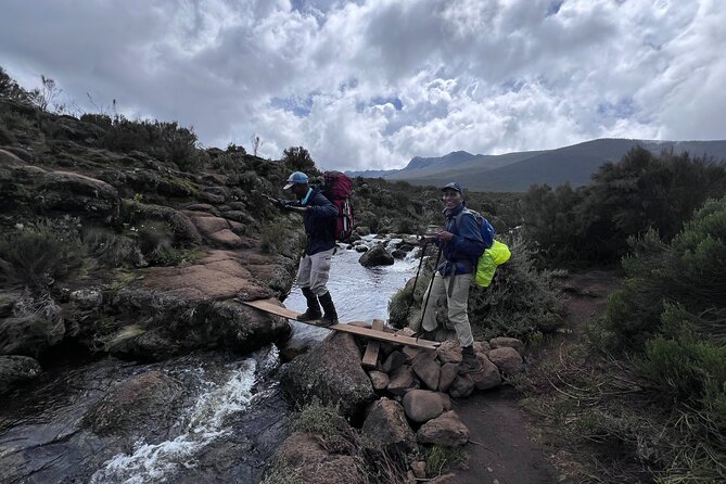 6 Days Kilimanjaro Climbing Marangu Route - Day 2: Heathland, giant plants, and Horombo Huts
