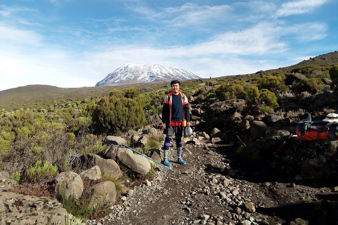 6 Days Kilimanjaro Lemosho route Climbing and Hiking Tour - What the crew’s feedback tells you