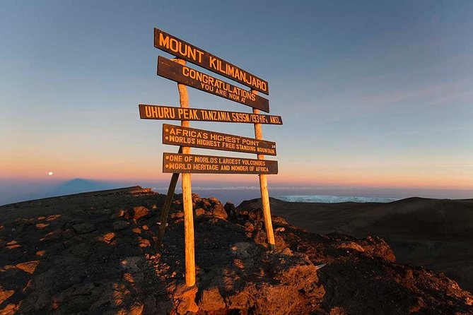6 Days Kilimanjaro Trekking - Machame Route - Day 1: From Moshi to Machame and the Rainforest