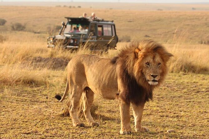 6 Days lodge &camping tour Serengeti ,Tarangire ,Ngorongoro Crater and Manyara - Six details worth knowing before you book
