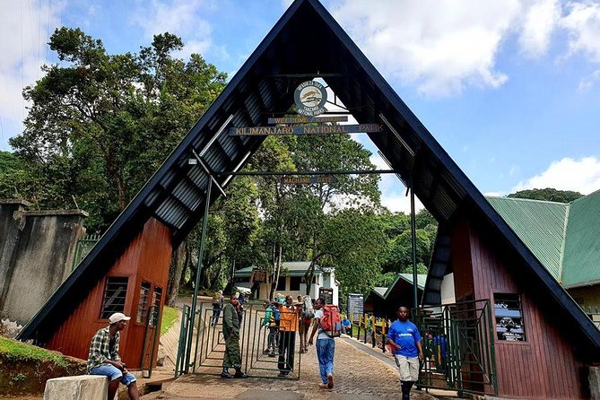 6 Days Machame Route Hike - Why the Machame Route feels different