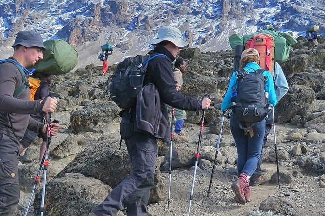 6 Days Machame Route Hike - Days 2 through 4: A gradual route to higher camp