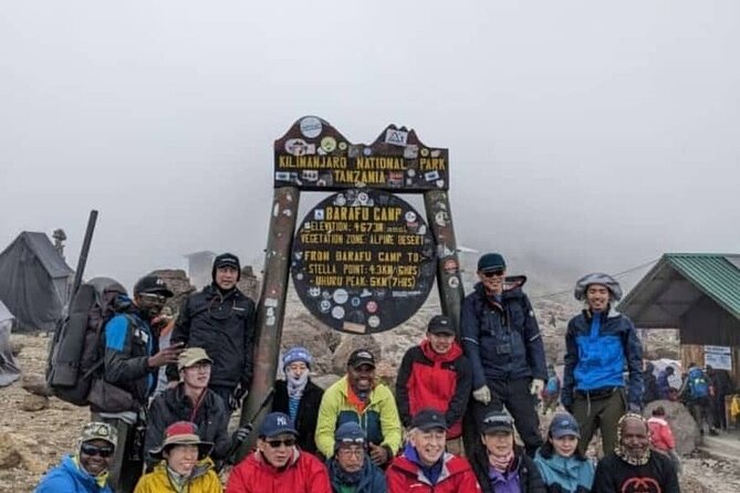 6 Days Machame Route Kilimanjaro Climbing Trekking Tour - Lava Tower and Barranco Camp: The Best Acclimatization Day