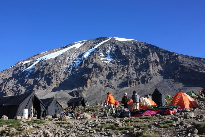 6 Days Machame Route Kilimanjaro Trekking - Key points before you book