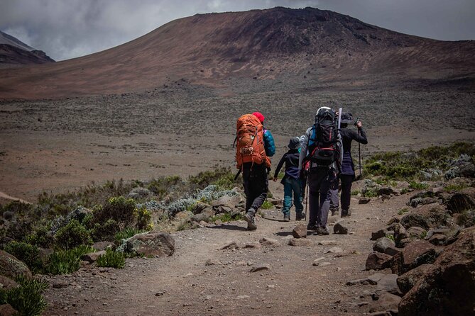 6 Days MARANGU ROUTE (Kilimanjaro Trekk) - Day 2: Heathland, Mawenzi Views, and Horombo Hut