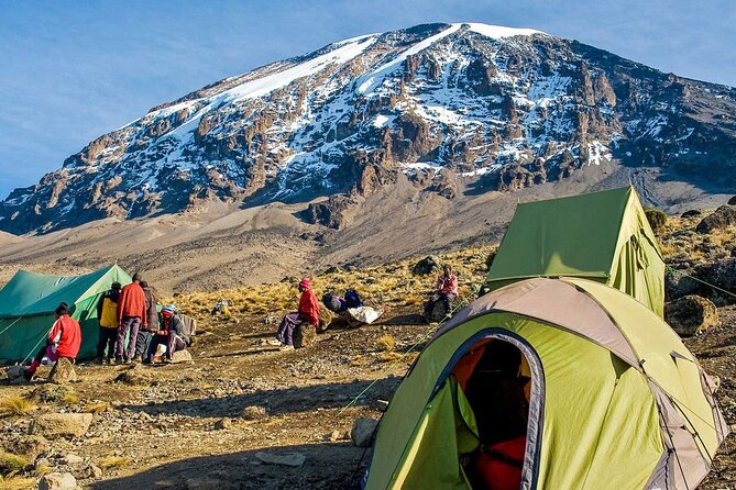 6 Days MARANGU ROUTE (Kilimanjaro Trekk) - Day 5: Uhuru Peak and the Long Descent