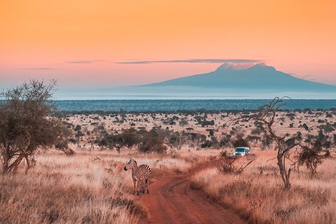 6 Days Mount Kilimanjaro Climbing via Rongai Route - Key points to know before booking