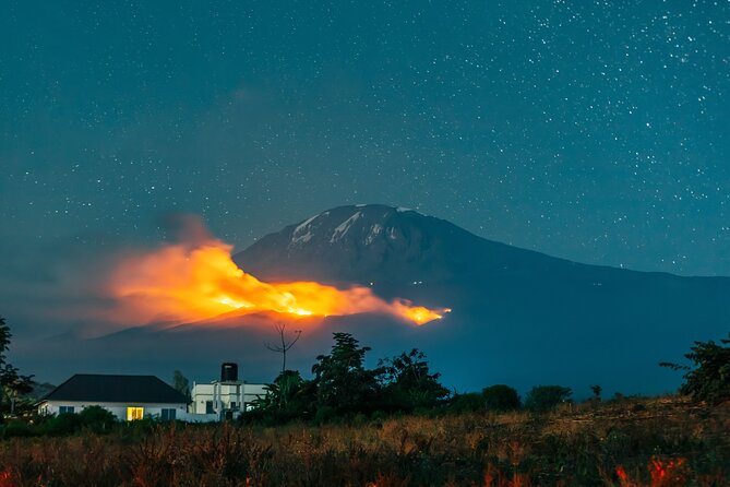 6 Days Mount Kilimanjaro Climbing via Rongai Route - Day 1: Moshi to Simba Camp through woodland