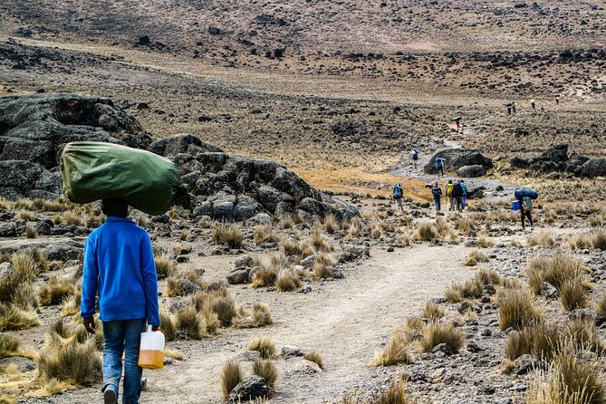 6 Days Mount Kilimanjaro Climbing via Rongai Route - Day 6: Descent through Mandara Huts to Moshi