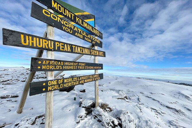 6 Days Mount Kilimanjaro Climbing via Rongai Route - Day 2: Moorland views toward Kibo
