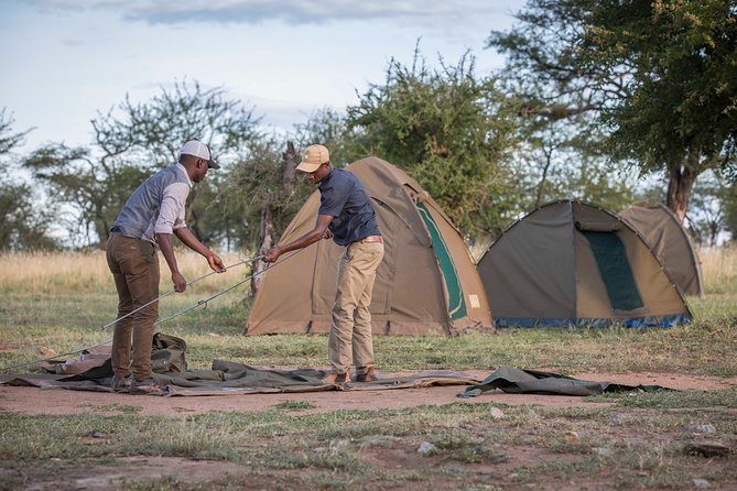 6 Days Private Budget Safari - Day 1: Tarangire’s elephants and giant baobabs