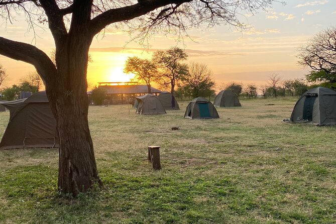 6 Days Private Budget Safari - Day 6: Flamingos and forest at Lake Manyara