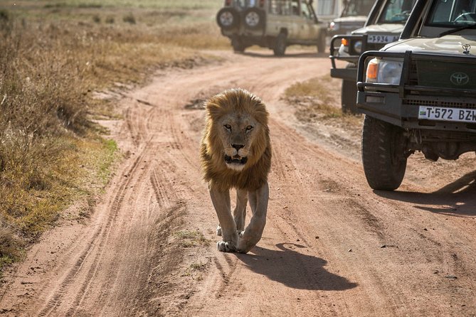 6 Days Private Budget Safari - Day 2: The rough road to Seronera