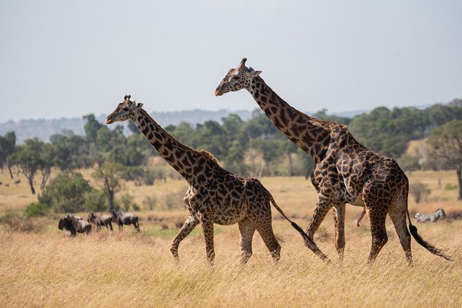 6 Days Private Safari Tour - Why this six-day route works
