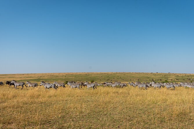 6 Days Private Safari Tour - Is $11,980 good value?