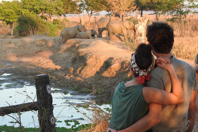 6 Days Private Safari with Mid-range Lodges or Camps - Day four: a full Serengeti game-drive day