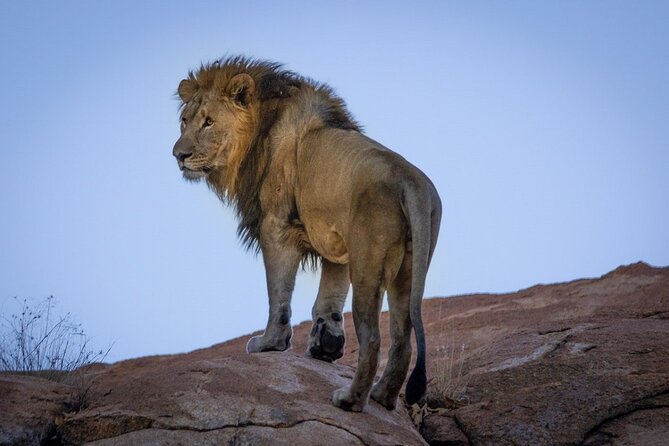 6 Days Safari : Manyara, Ngorongoro, Serengeti & Tarangire National Park - Day 4: A full Serengeti day at Embalakai Camp