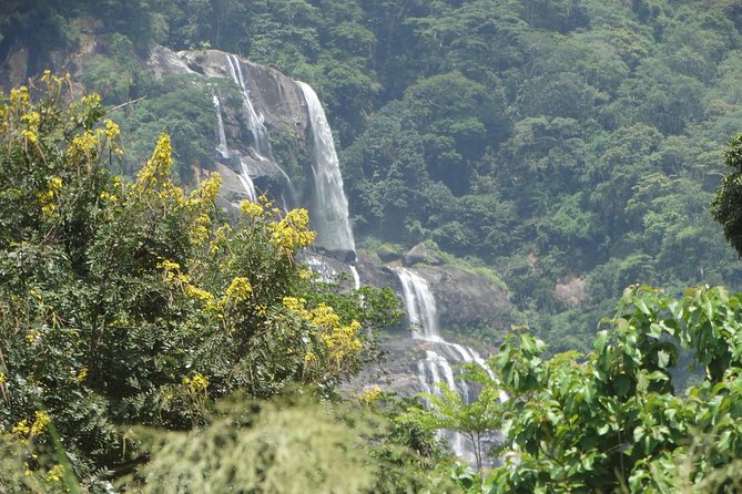 6 Days Safari to Udzungwa Mountain NP, Ruaha NP and Mikumi NP - What makes this safari worth considering