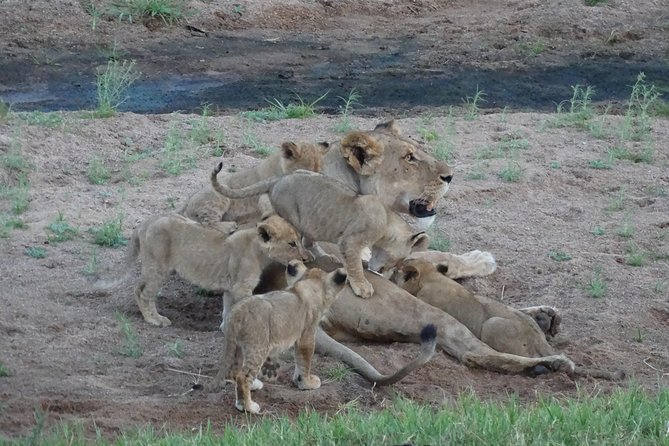 6 Days Safari to Udzungwa Mountain NP, Ruaha NP and Mikumi NP - Day 3: Entering Ruaha by way of Iringa