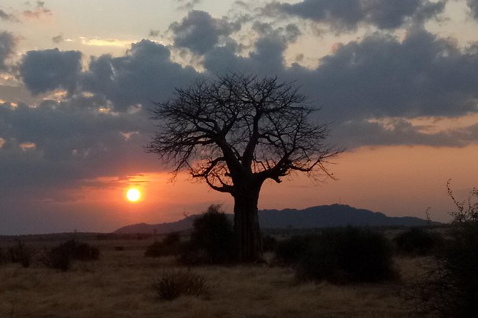 6 Days Safari to Udzungwa Mountain NP, Ruaha NP and Mikumi NP - What $1,656 includes, and what it means