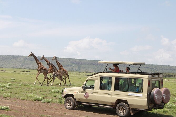 6 Days Serengeti Safari(hiking waterfalls &coffee tour) - What the six days really feel like