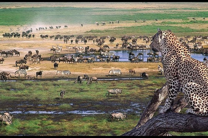 6 Days Serengeti Safari(hiking waterfalls &coffee tour) - Day six: Materuni Waterfalls and Chagga coffee