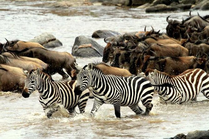 6 Days Serengeti Wildebeest Migration Safari - What the $2,880 price includes
