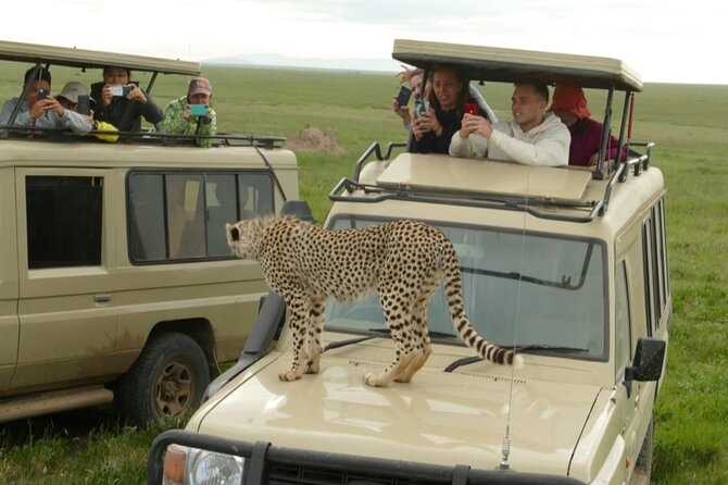 6 Days Tanzania Budget Camping Safari - Guides, vehicles, and the camping setup