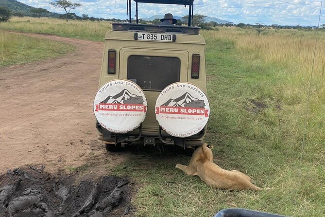 6 Days Tanzania Budget Camping Safari with Migration - What $1,650 buys you in northern Tanzania