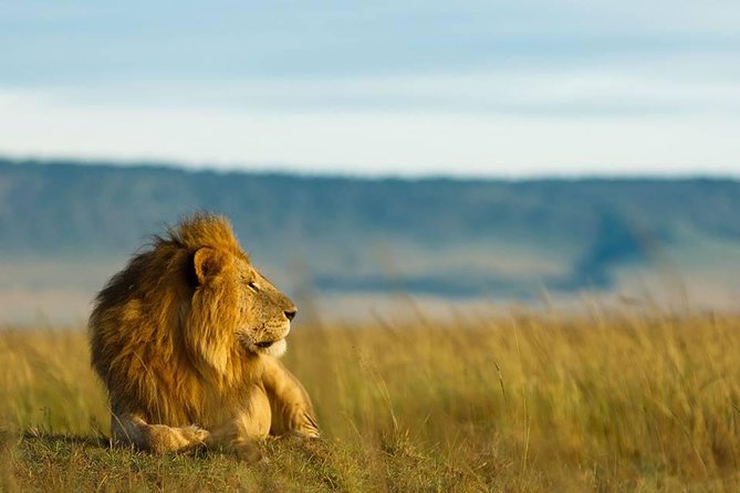 6 Days Tanzania Budget Camping Safari - Day 2: The long road to the Serengeti