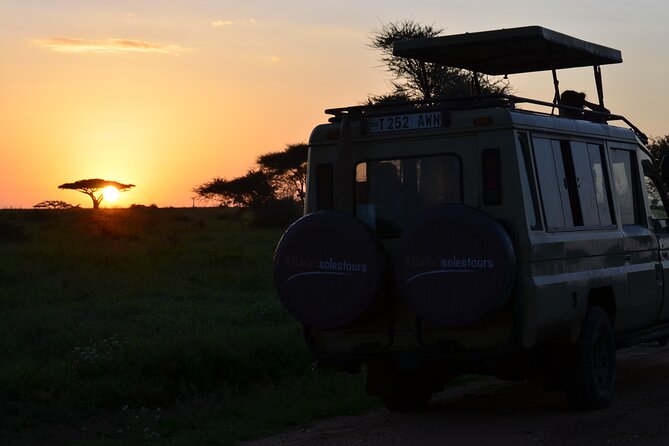 6 days Tanzania budget safari - What $2,500 buys you in six days